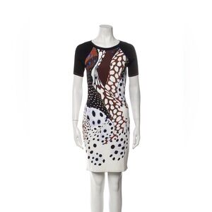 Roberto Cavalli dress